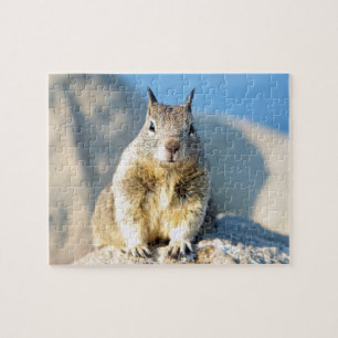 Grey squirrel, Monterey Bay, California Jigsaw Puzzle