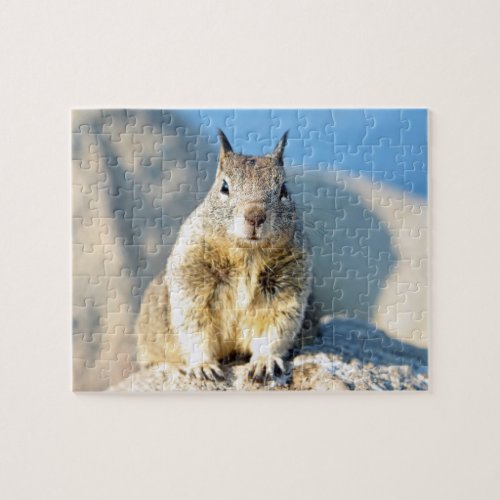 Grey squirrel Monterey Bay California Jigsaw Puzzle