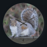 Grey Squirrel on Large Round Clock<br><div class="desc">Grey Squirrel on Large Round Clock</div>