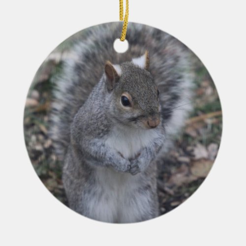 Grey Squirrel ornament