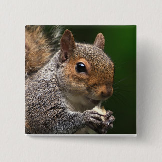 Grey Squirrel Pinback Button