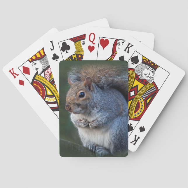 Grey Squirrel Playing Cards (Back)