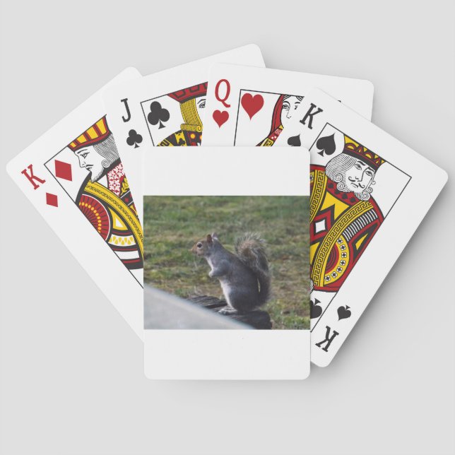 Grey Squirrel Poker Cards (Back)