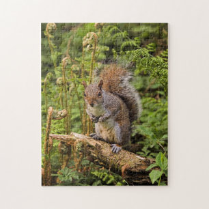 Grey Squirrel Puzzle/Jigsaw Jigsaw Puzzle
