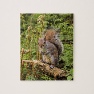 Grey Squirrel Puzzle/Jigsaw with Tin Jigsaw Puzzle