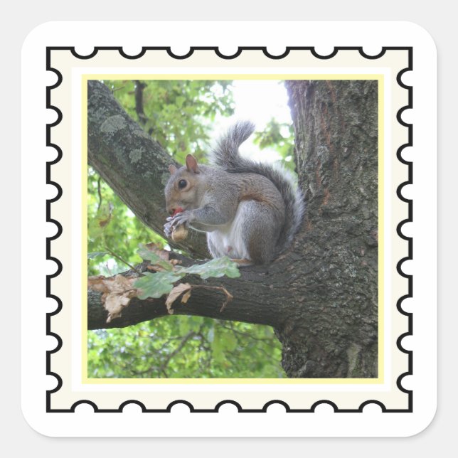 Grey Squirrel stamp art Square Sticker (Front)