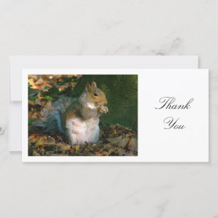Grey Squirrel - Thank You Card