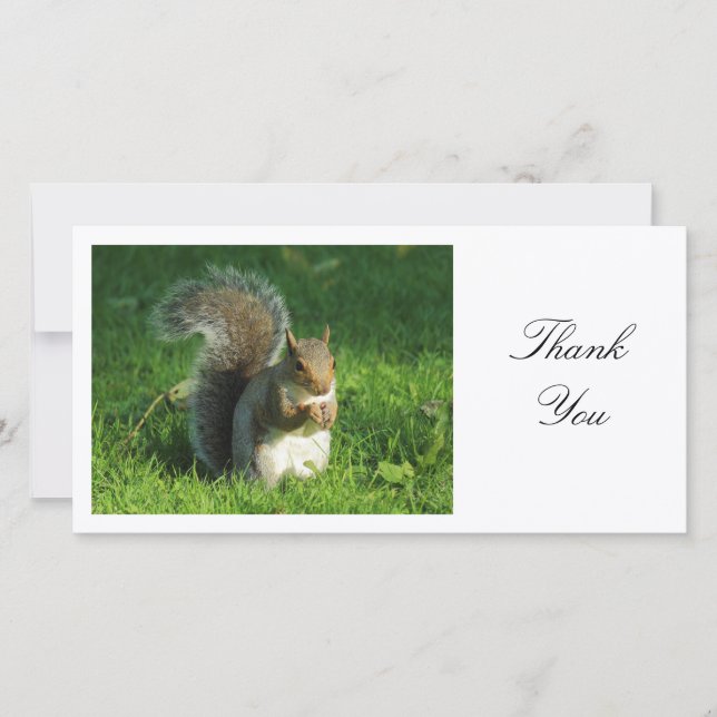 Grey Squirrel - Thank You Card (Front)