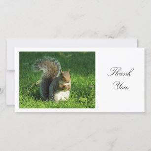 Grey Squirrel - Thank You Card