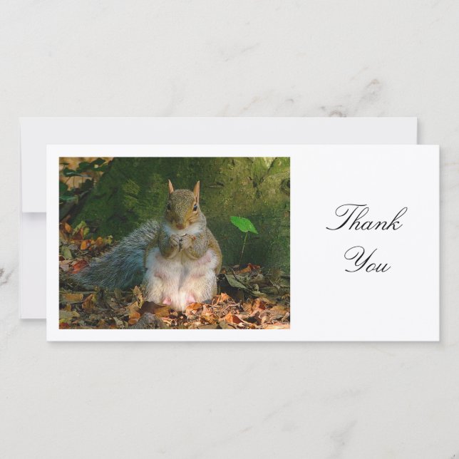 Grey Squirrel - Thank You Card (Front)