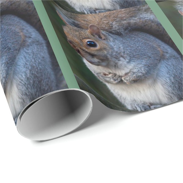 Grey Squirrel Wrapping Paper (Roll Corner)