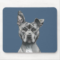 Grey Stalky Pit Bull Dog Drawing