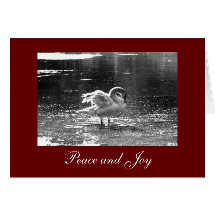 Grey Swan Christmas Card