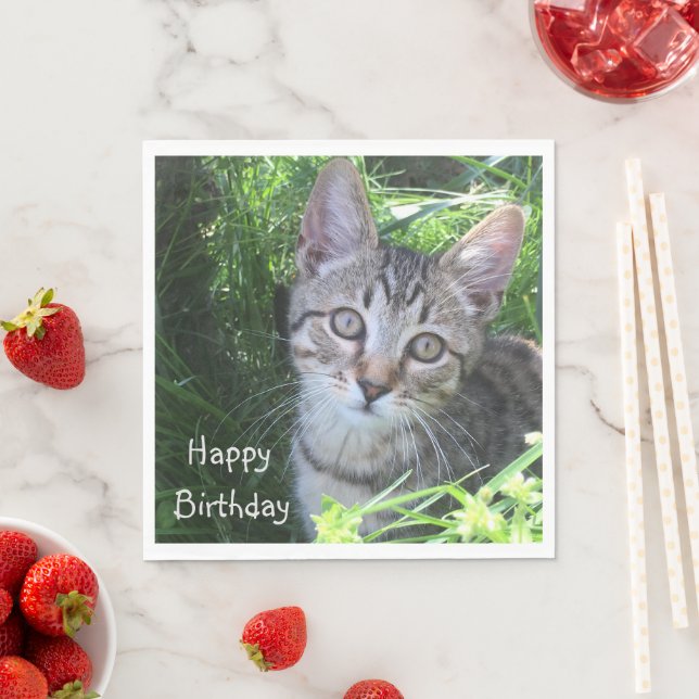 Grey Tabby Cat Birthday Napkins (Insitu)