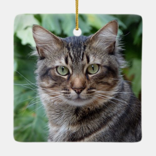 Grey Tabby Cat Ceramic Ornament