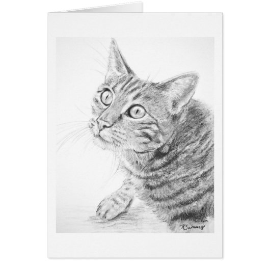 Grey Tabby Cat Drawing Cards (Front)