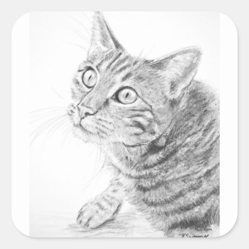 Grey Tabby Cat Drawing Square Sticker | Zazzle