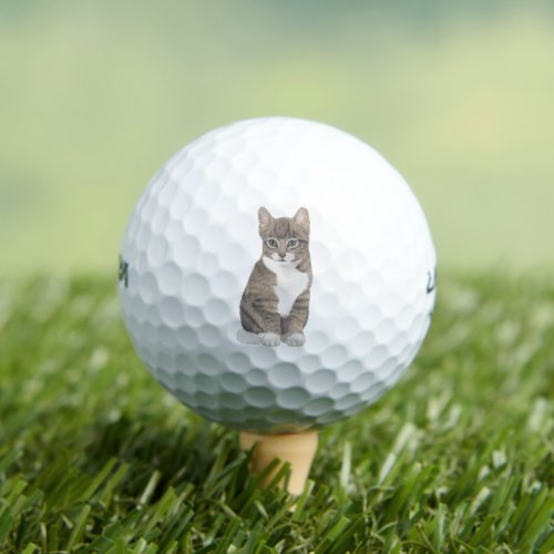 Grey Tabby Cat Golf Balls