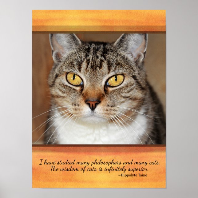 Grey Tabby Cat Poster (Front)