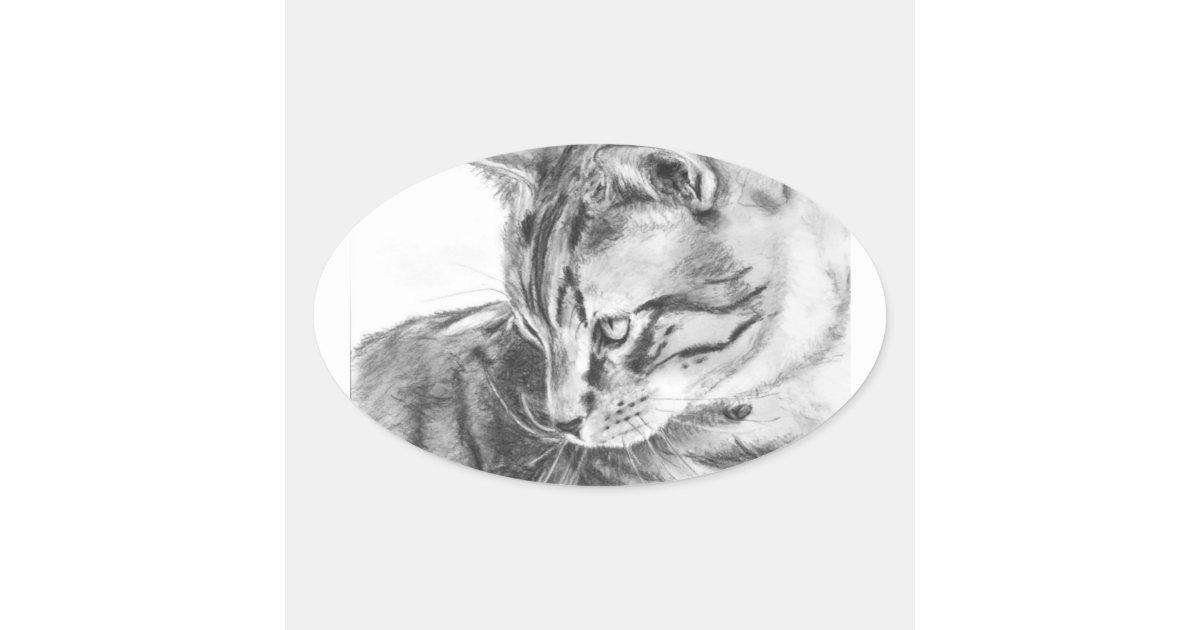 Grey Tabby Cat Sketched In Charcoal Oval Sticker Zazzle Com
