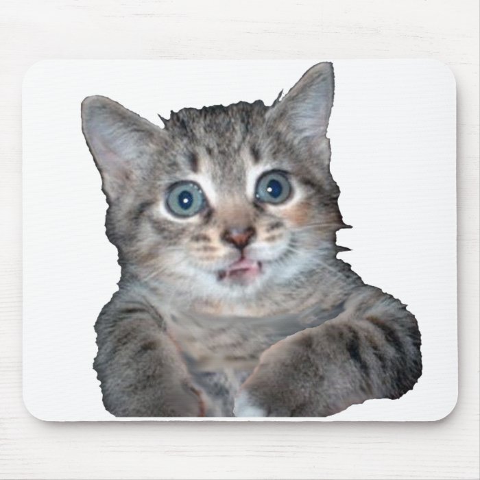Grey Tiger Kitten with Blue Eyes Mousepad