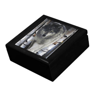 Grey Timber Wolf & Trees Wildlife Art Jewelry Box