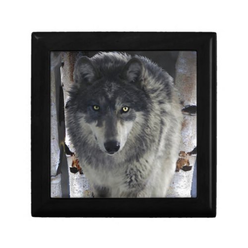 Grey Timber Wolf  Trees Wildlife Art Jewelry Box