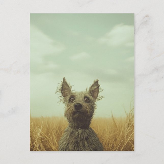 Grey Toto in a Wheat Field Postcard (Front)