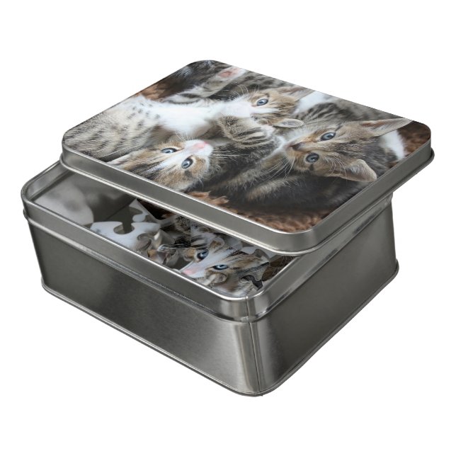 Grey Tricolor Kittens/Add Your Pet's Photo Jigsaw Puzzle (Lid Open)