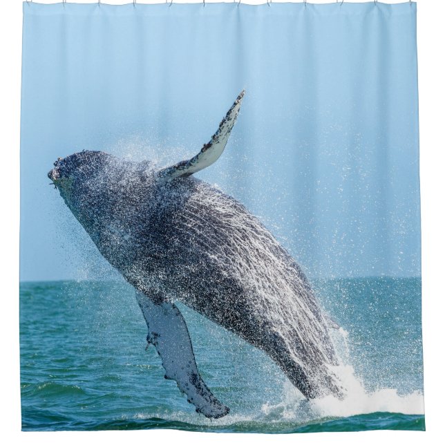 Grey Whale Jumping in Blue Ocean Water Shower Curtain (Front)