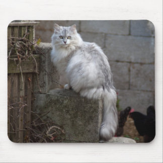 Grey-White Angora Cat Mouse Pad