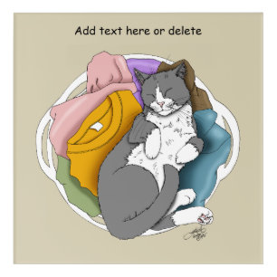 Grey White Cat Hair Laundry Acrylic Print
