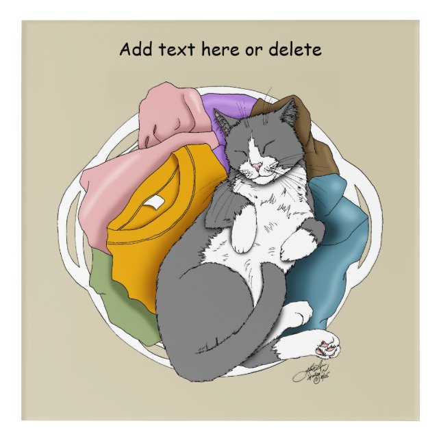 Grey White Cat Hair Laundry Acrylic Print (Front)