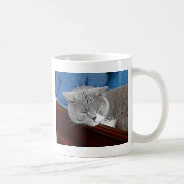grey & white cat sleeping coffee mug (Right)