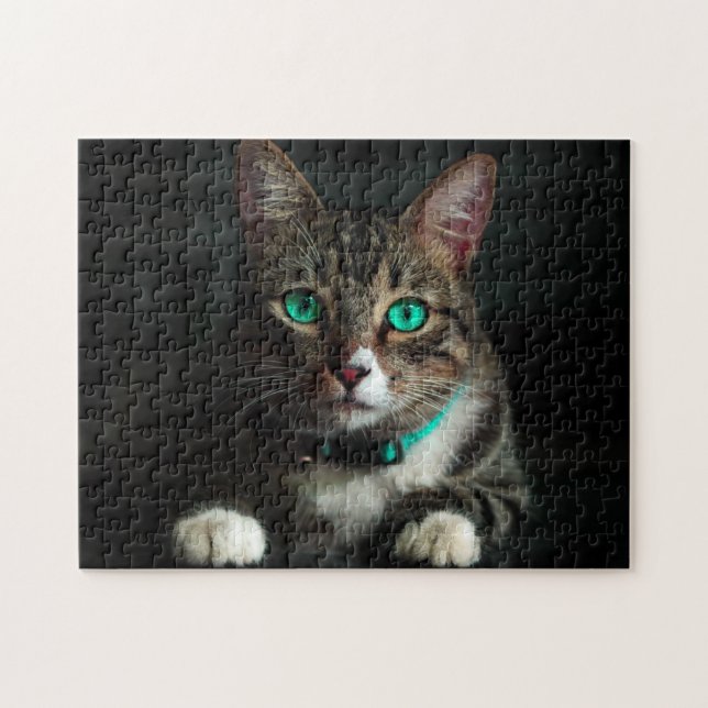 Grey & White Cat with Blue Eyes & Matching Collar Jigsaw Puzzle (Horizontal)
