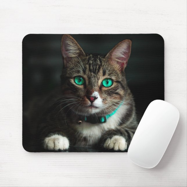 Grey & White Cat with Blue Eyes & Matching Collar Mouse Pad (With Mouse)