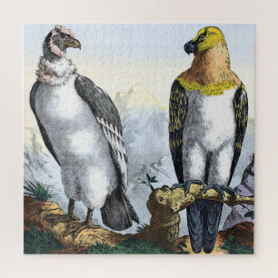 Grey White Condor Yellow Black Eagle Jigsaw Puzzle