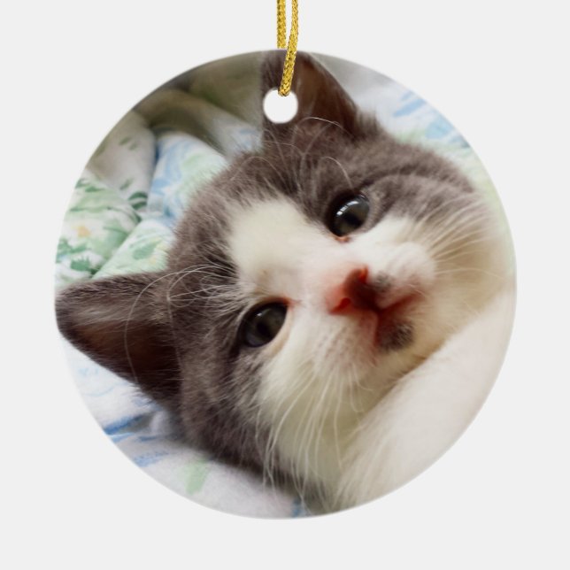 Grey & White Kitten Ornament (Front)