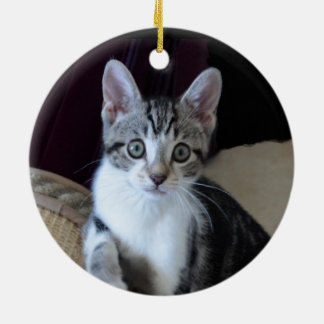 Grey/white Tabby Kitten Ornament