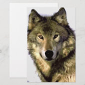 Grey Wolf (Front/Back)
