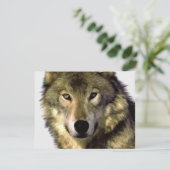 Grey Wolf (Standing Front)