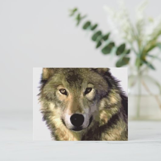 Grey Wolf (Standing Front)