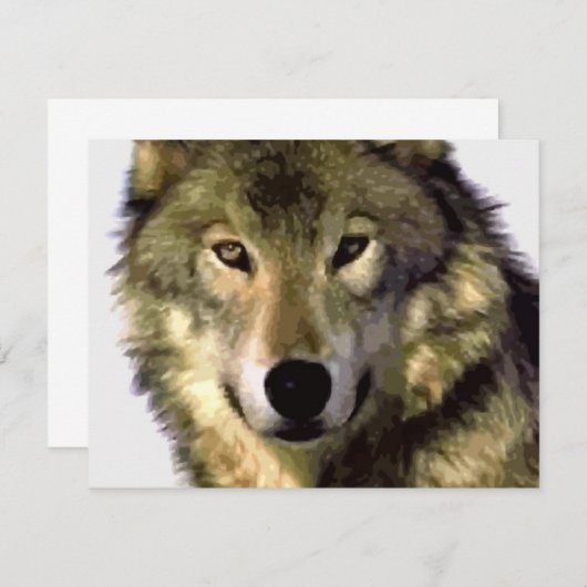 Grey Wolf (Front/Back)