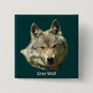Grey Wolf Alpha Female Wildlife-lover Pinback Button