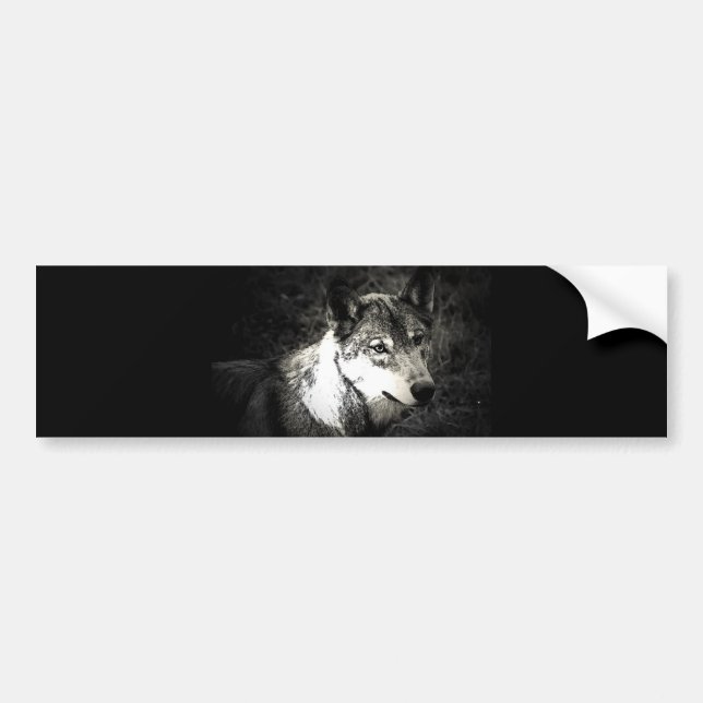 Grey Wolf Bumper Sticker (Front)