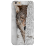 Grey Wolf (canis Lupus) Behind Tree Barely There Iphone 6 Plus Case at Zazzle