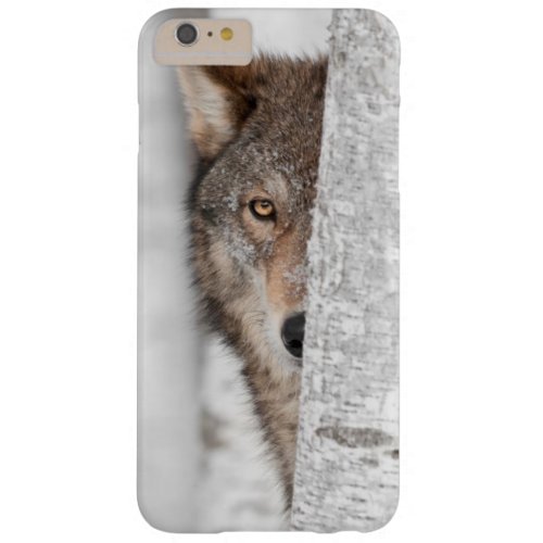 Grey Wolf Canis lupus Behind Tree Barely There iPhone 6 Plus Case
