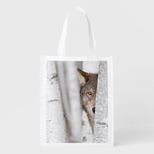 Grey Wolf Canis lupus Behind Tree Grocery Bag
