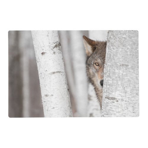 Grey Wolf Canis lupus Behind Tree Placemat