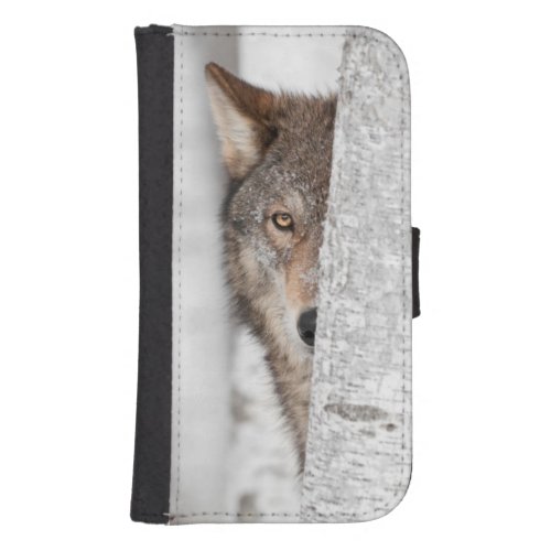 Grey Wolf Canis lupus Behind Tree Samsung S4 Wallet Case
